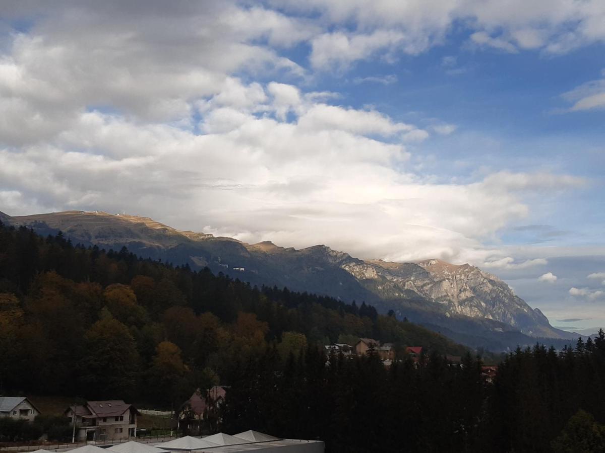 Apartament Bucegi View 39 - Colina Marei Sinaia Zewnętrze zdjęcie