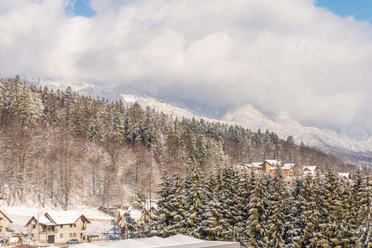 Apartament Bucegi View 39 - Colina Marei Sinaia Zewnętrze zdjęcie