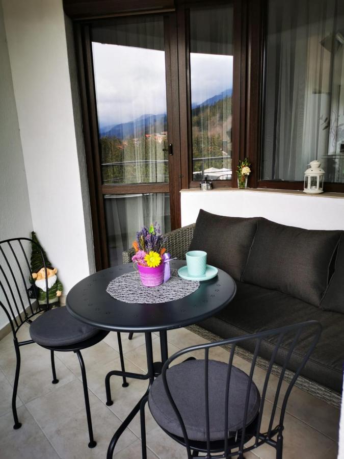 Apartament Bucegi View 39 - Colina Marei Sinaia Zewnętrze zdjęcie