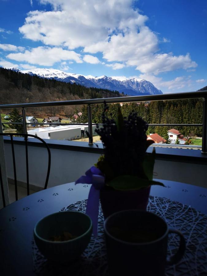 Apartament Bucegi View 39 - Colina Marei Sinaia Zewnętrze zdjęcie